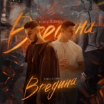 Обложка трека Вредина