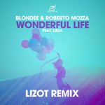 Обложка трека Wonderful Life
