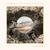 Shout - Lawrence Rothman