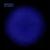 Z21 (with Activa) - Orkidea