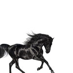 Обложка трека Old Town Road