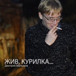Обложка трека Одуванчики