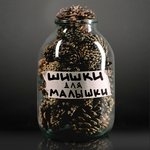 Обложка трека Параноишь