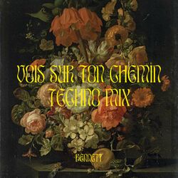 Обложка трека Vois sur ton chemin (Techno Mix)