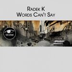 Обложка трека Sidewalk Cries