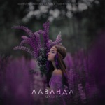 Обложка трека Лаванда