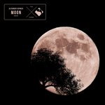 Обложка трека Moon