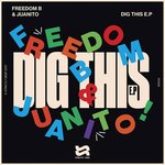 Обложка трека Dig This