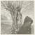 Willow Garden - Lankum