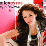 Обложка трека Fly on the Wall
