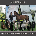 Обложка трека Партизанская