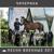 Партизанская - Чичерина