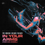 Обложка трека In Your Arms (For An Angel)
