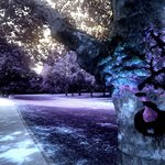 Обложка трека Laya