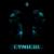Cynical - Twocolors