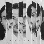 Обложка трека Voices