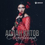 Обложка трека Сеньорита