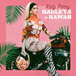 Обложка трека Harleys In Hawaii