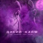 Обложка трека Дикий кайф