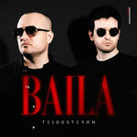 Обложка трека Baila