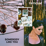 Обложка трека Somebody Like You