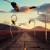 One of These Days - Pink Floyd