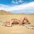 Invitation - Britney Spears