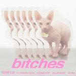 Обложка трека bitches