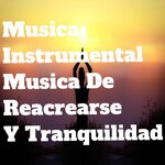 Обложка трека Melodias De Tranquilidad