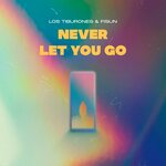 Обложка трека Never Let You Go