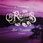 Обложка трека In The Shadows (Lost Frequencies Extended Remake)