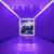 Heaven’s Gate - Fall Out Boy