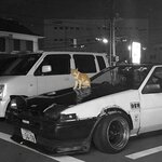 Обложка трека kitty phonk