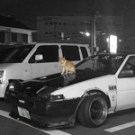 Обложка трека kitty phonk (speed up)
