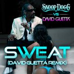 Обложка трека Sweat