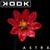 ASTRA - Kddk