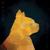 Nine Lives - Mahom