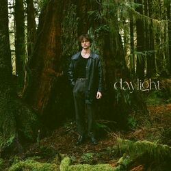 Обложка трека Daylight