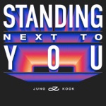 Обложка трека Standing Next To You