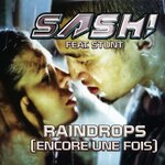 Обложка трека Raindrops (Encore une fois Pt. II)
