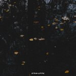 Обложка трека Anymore