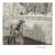 Marchal: Insight XV - Julien marchal