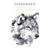 And I Love Her - Passenger