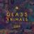 Intruxx - Glass Animals