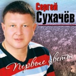 Обложка трека Две снежинки