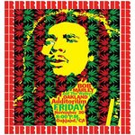Обложка трека Natty Dread