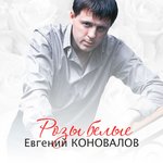 Обложка трека Моя ранимая