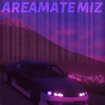 Обложка трека AREAMATE MIZ