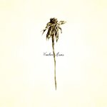 Обложка трека Fireweed