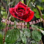 Обложка трека Ждёт меня милая